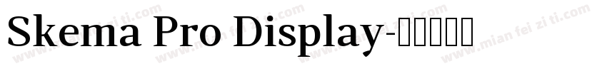 Skema Pro Display字体转换